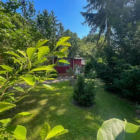 Stine 5 * Bad Doberan